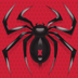 ‎Spider Solitaire: Card Game